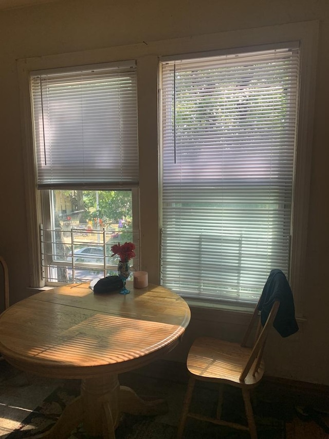 dining room featuring a healthy amount of sunlight