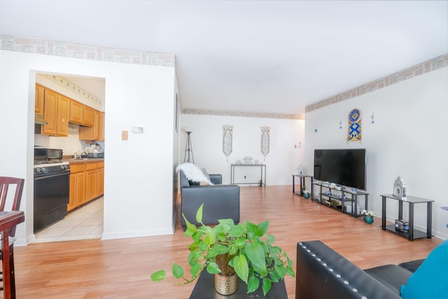 living room featuring light hardwood / wood-style flooring