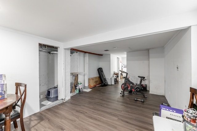 exercise room featuring hardwood / wood-style flooring