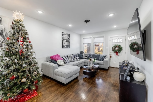 living room with dark hardwood / wood-style flooring