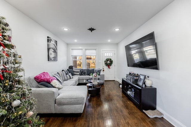 living room with dark hardwood / wood-style flooring