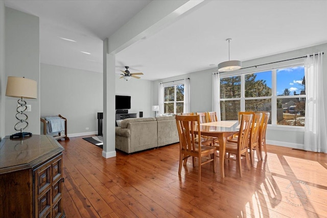 dining space featuring ceiling fan, wood-type flooring, and beam ceiling