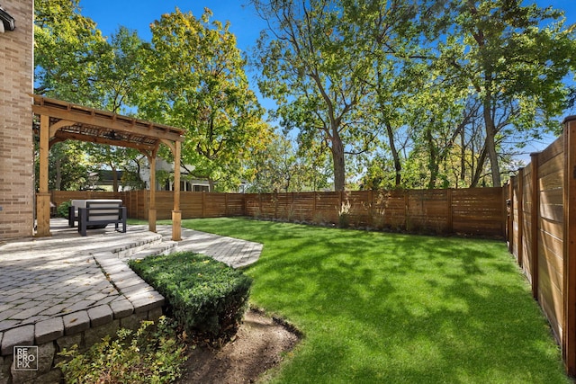 840 Chestnut St, Hinsdale, IL 60521 - view of yard with a patio area and a pergola