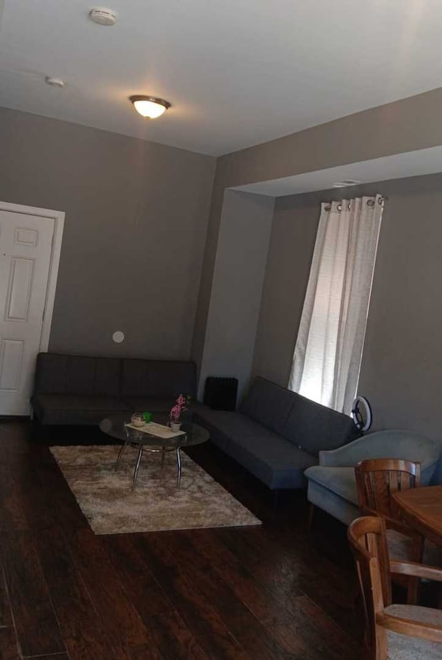 living room featuring dark wood-type flooring