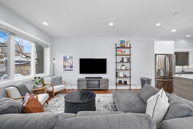 living room with wood-type flooring and sink