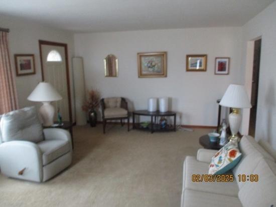 living room with carpet floors