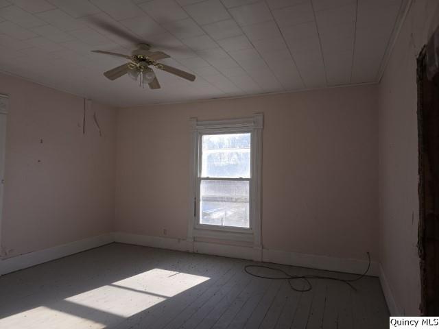 unfurnished room featuring light hardwood / wood-style floors and ceiling fan