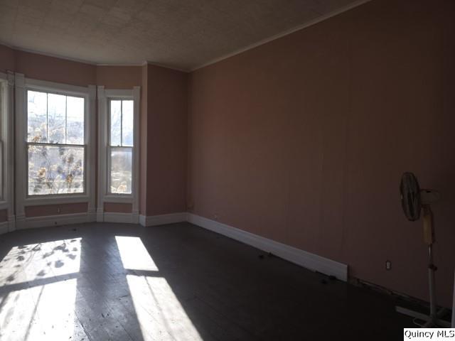 unfurnished room featuring dark hardwood / wood-style flooring and ornamental molding