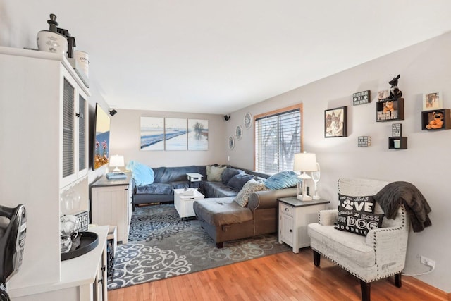 living room featuring hardwood / wood-style floors