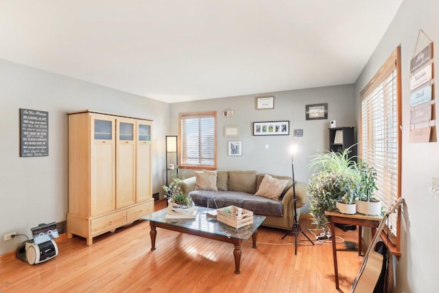 living room featuring light hardwood / wood-style floors