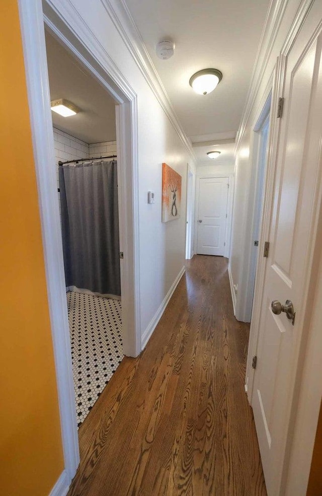 hallway with wood-type flooring and crown molding