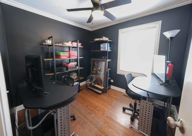 office area with ceiling fan, wood-type flooring, and crown molding