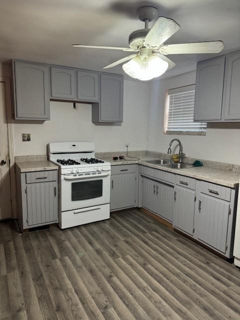 kitchen with gray cabinets, ceiling fan, white gas stove, dark hardwood / wood-style flooring, and sink