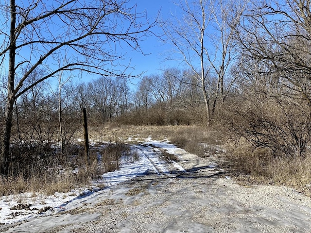 3009 County Road 700 E, Fisher IL, 61843 land for sale