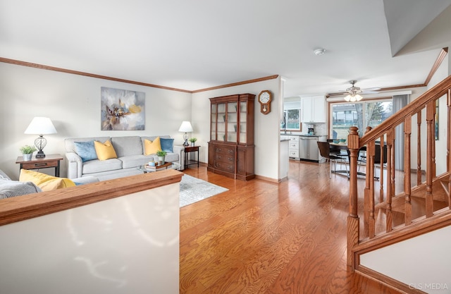 living room featuring crown molding, ceiling fan, and light wood-type flooring