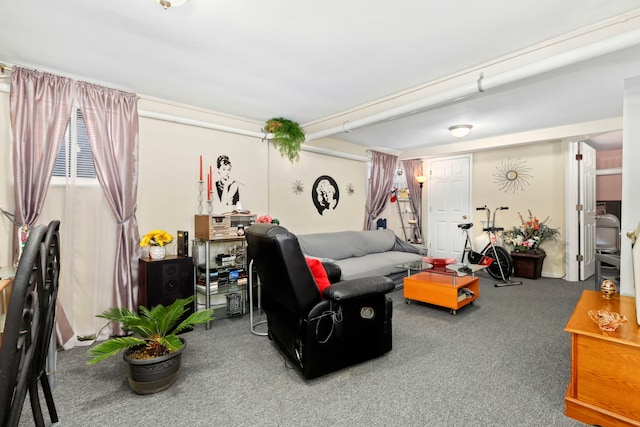 living room featuring carpet flooring