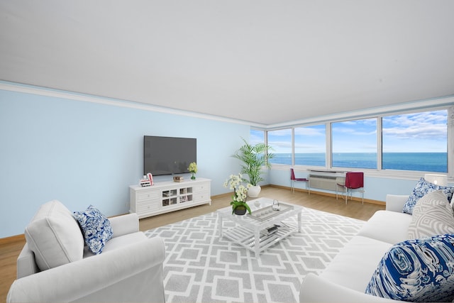 living room with a wall unit AC and hardwood / wood-style floors