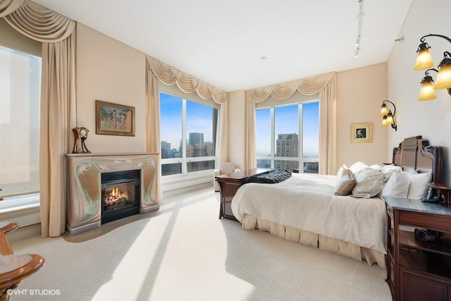 carpeted bedroom featuring rail lighting