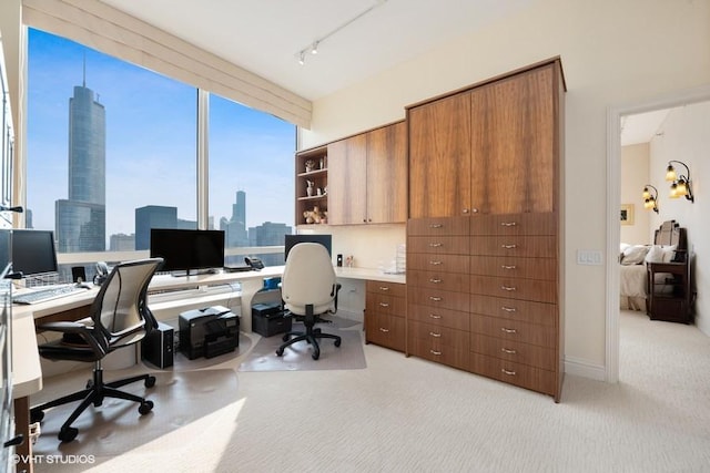 office with light carpet and rail lighting