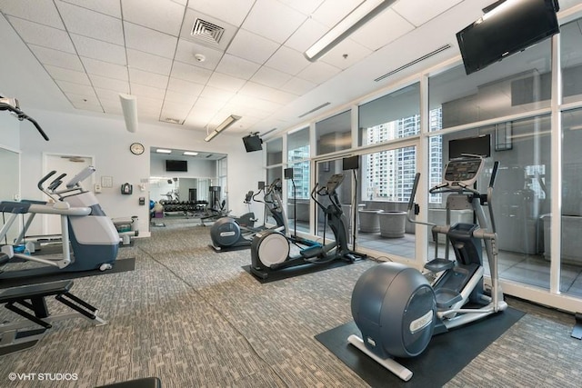 gym featuring carpet flooring