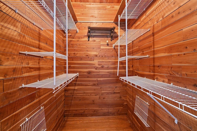 spacious closet with wood-type flooring