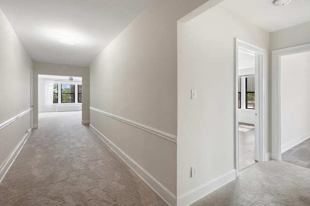 hallway featuring carpet flooring