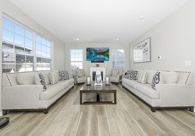 living room featuring light hardwood / wood-style floors