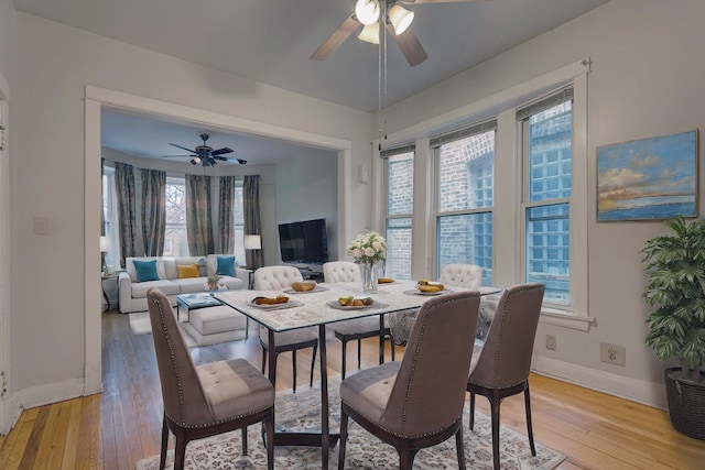 dining area featuring ceiling fan and light hardwood / wood-style floors