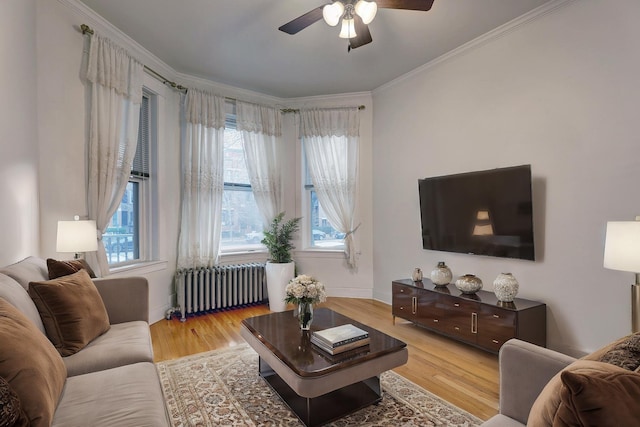 living room with light hardwood / wood-style floors, plenty of natural light, radiator heating unit, and crown molding