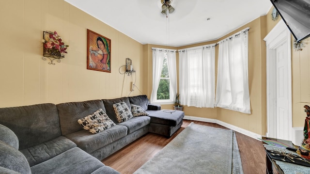 living room with ceiling fan and hardwood / wood-style flooring