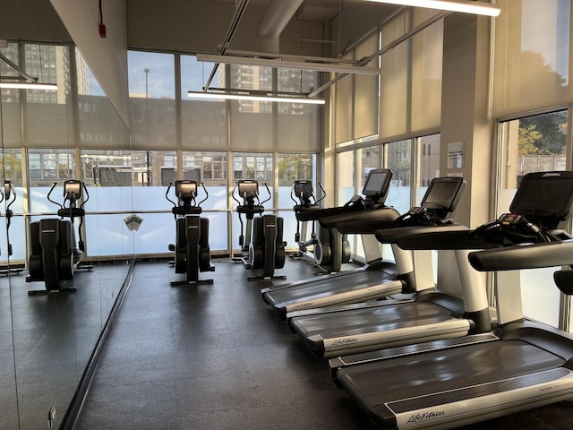 exercise room with plenty of natural light