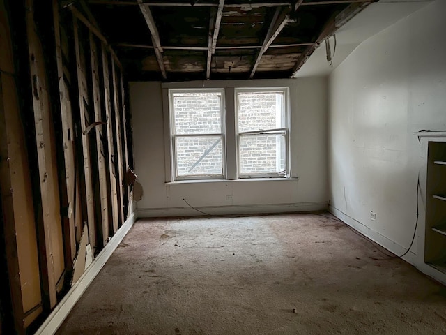 miscellaneous room with vaulted ceiling