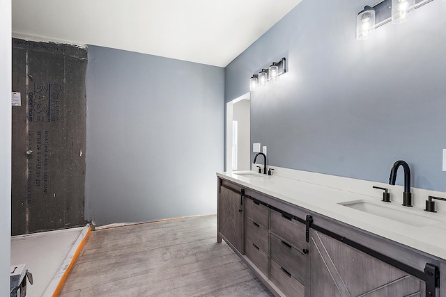 bathroom featuring vanity and hardwood / wood-style floors