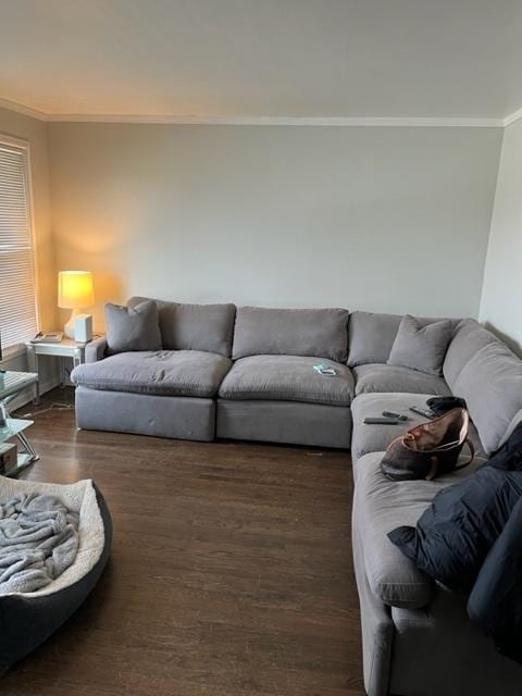 living room featuring crown molding and dark hardwood / wood-style flooring