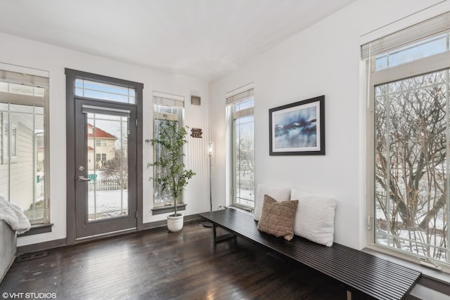 interior space featuring a healthy amount of sunlight and dark hardwood / wood-style flooring