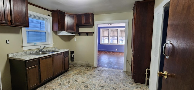 kitchen featuring dark brown cabinets and sink