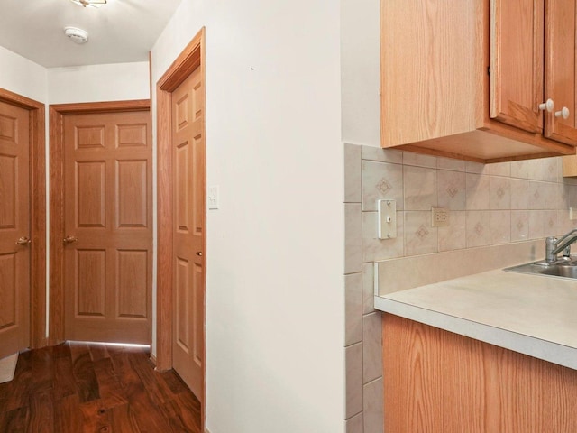 interior space with tasteful backsplash, light countertops, a sink, and dark wood-type flooring