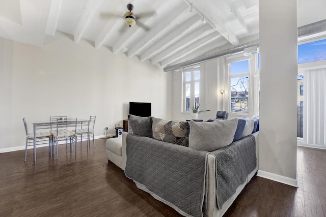 living room featuring dark hardwood / wood-style floors, a wealth of natural light, and track lighting