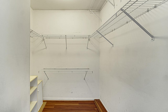 walk in closet featuring hardwood / wood-style flooring