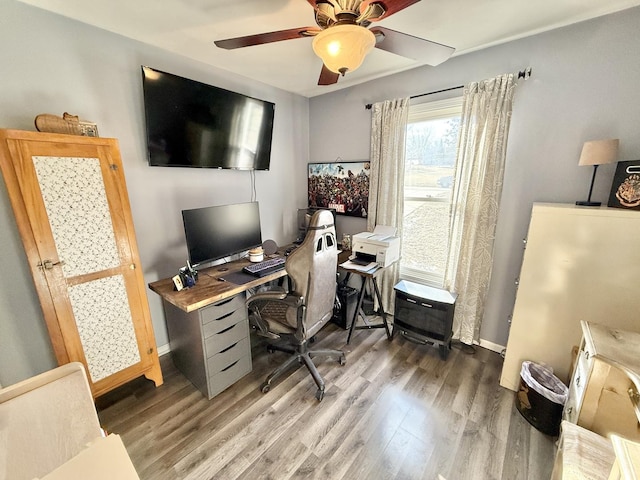 office area featuring hardwood / wood-style flooring and ceiling fan