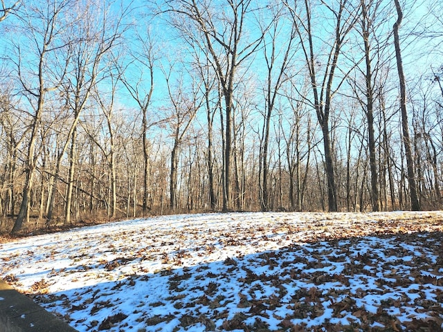 view of snow covered land