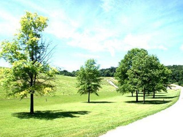 view of property's community featuring a lawn