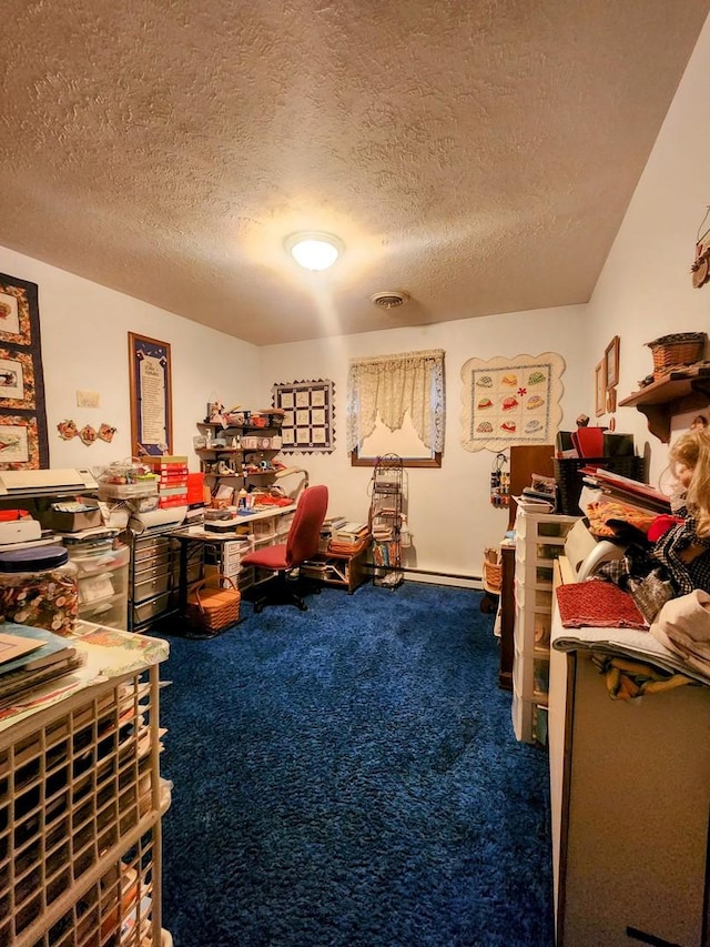 interior space with carpet and a textured ceiling