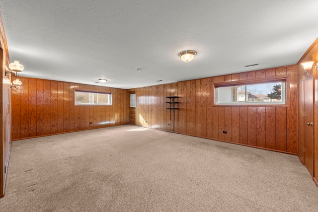 spare room featuring carpet floors, a textured ceiling, and a wealth of natural light