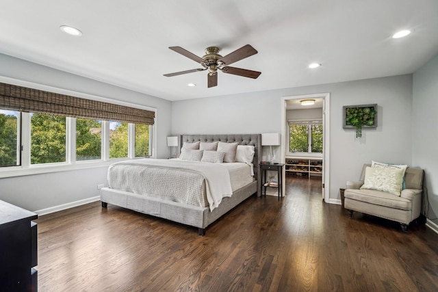 bedroom featuring ceiling fan, dark wood-type flooring, and multiple windows