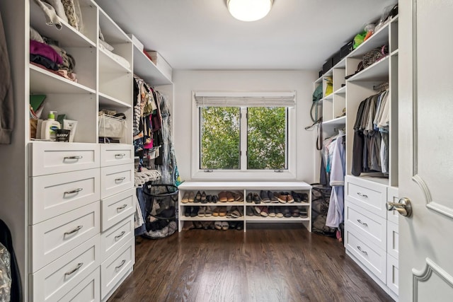 spacious closet with dark wood-type flooring