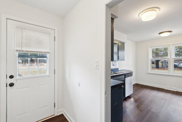 entryway with dark wood-style flooring, a wealth of natural light, and baseboards