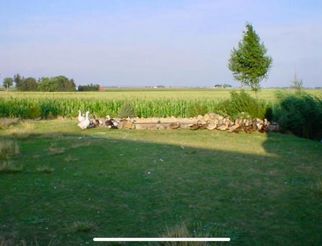 view of yard with a rural view