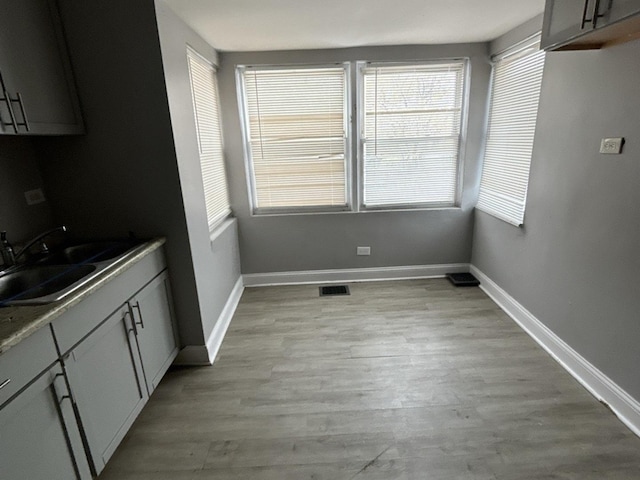 unfurnished dining area featuring sink, a wealth of natural light, and light wood-type flooring