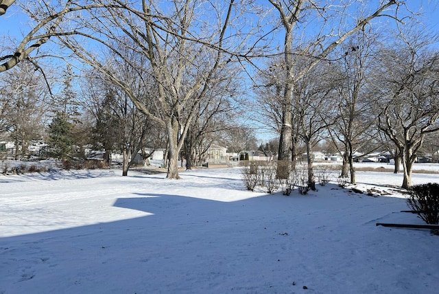 view of yard covered in snow